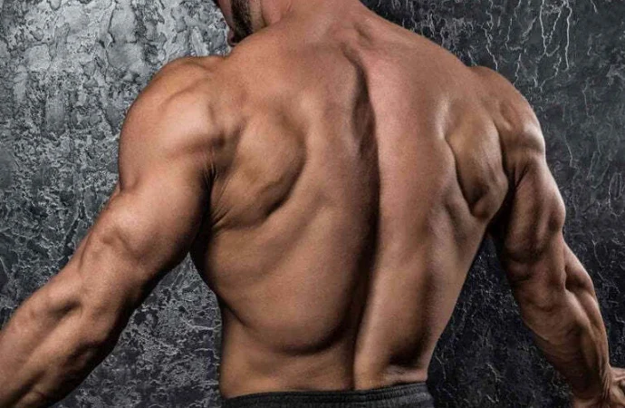 Lower back exercises gym