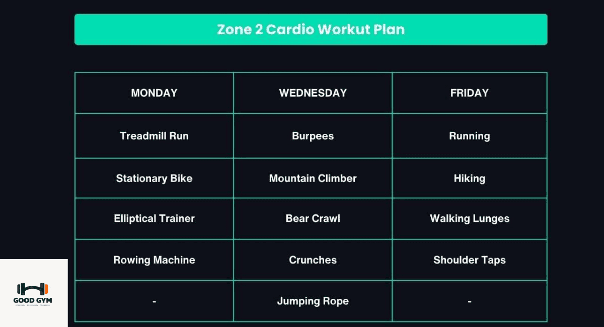 Zone 2 cardio workout for aerobic fitness
