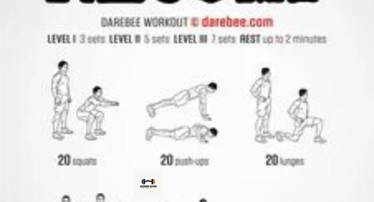 Recomp Workout Program 