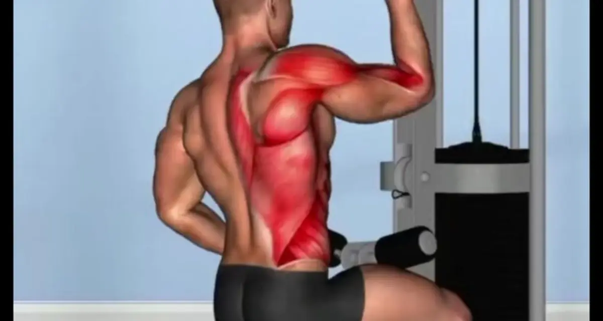 Best back exercises gym machine