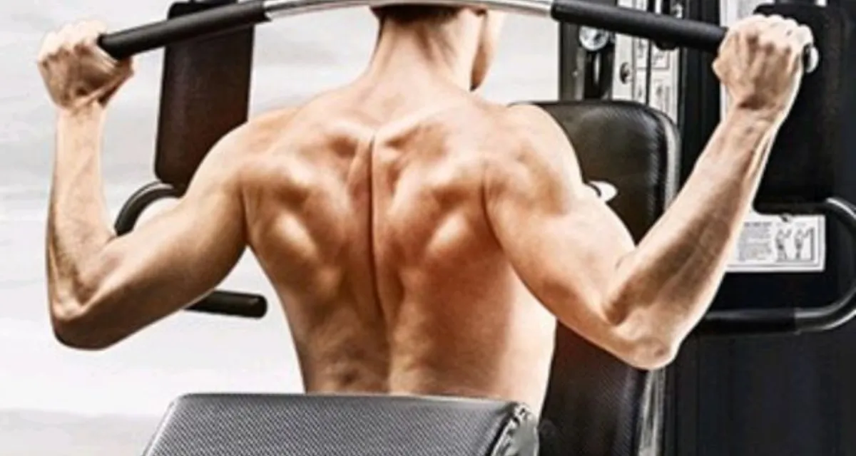 Back Muscles Do Gym Machines Work