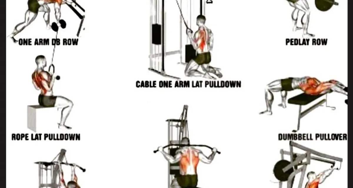 back exercises gym machine